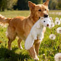 Squeaky Dog Chew Toy with Real Goose Feathers - Durable Non-Toxic Bite-Resistant Plush Squeaker Toy for Teething Puppies & Interactive Play, Fun Funny Ermine Design Dog Toy for Small & Medium Dogs