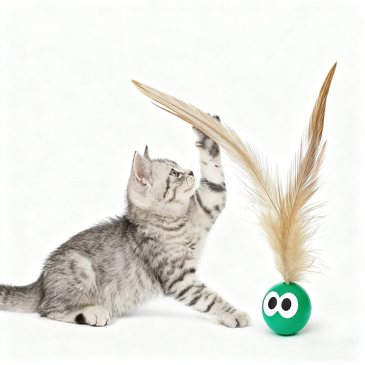 5-Pack High-Bouncing Kitten Chase Balls – Self-Play Plastic Ball Toy Set for Indoor Cats & Small Breeds, Interactive Hunting & Exercise Toy for Kitten Development, Boredom Buster Cat Toy