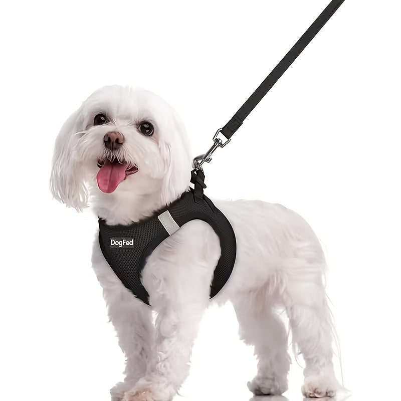 Walk-In Dog Harness and Leash Set for Small Dogs & Puppies - Breathable Mesh Reflective Soft Lightweight Pet Vest Harness, All-Weather No-Pull Dog Harness for Daily Walks & Outdoor Adventures