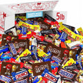 Bulk Assorted Chocolate Candy Variety Pack – Mixed Chocolate Assortment Bag Individually Wrapped, Ideal for Party Candy Bowls, Holiday Gifting, Office Sharing & Snacking