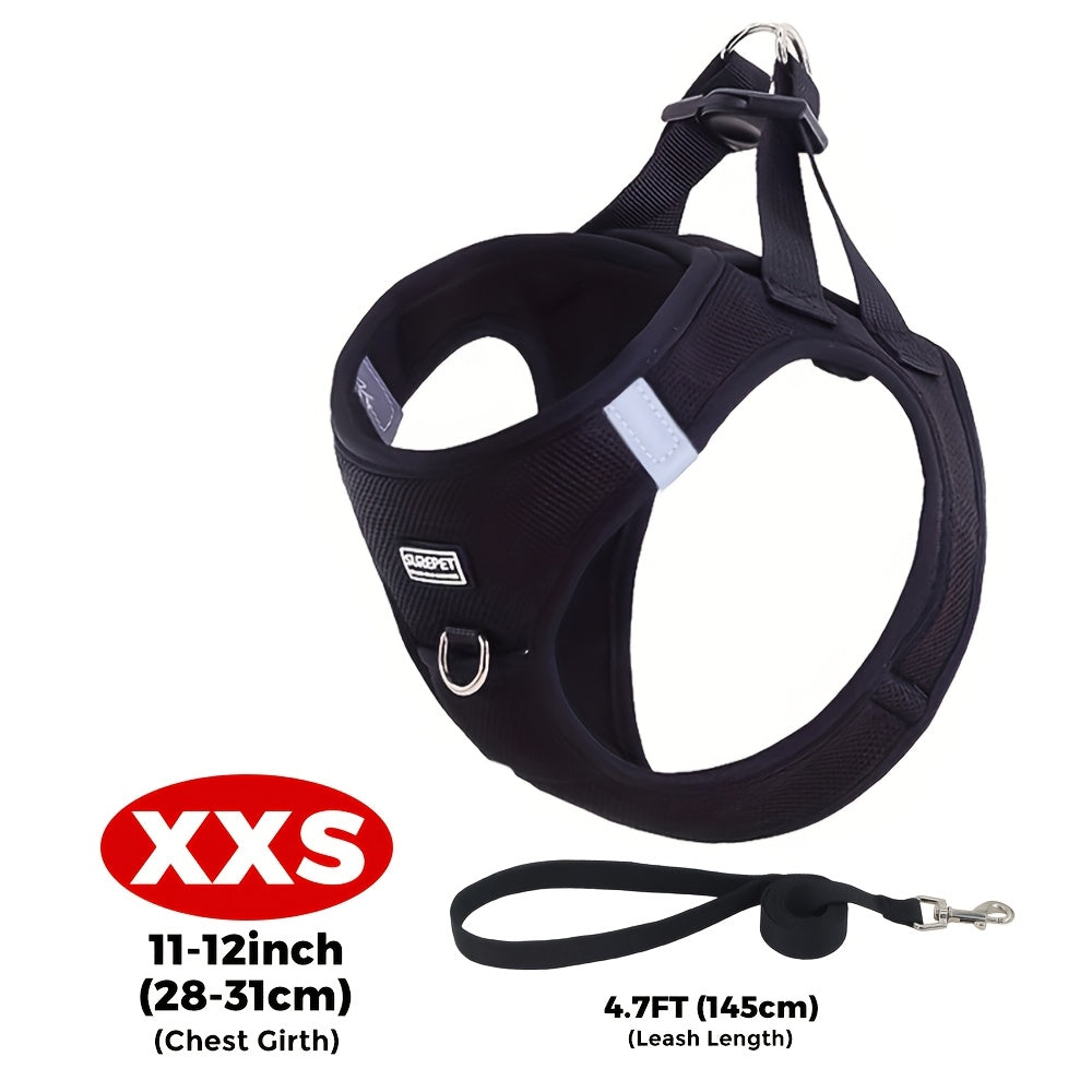 Small Dog Harness and Leash Combo Set - Soft Mesh Step-In Chest Harness for Small Dogs, Comfortable Breathable Pet Vest Harness with Matching Leash for Walking, Jogging & Training